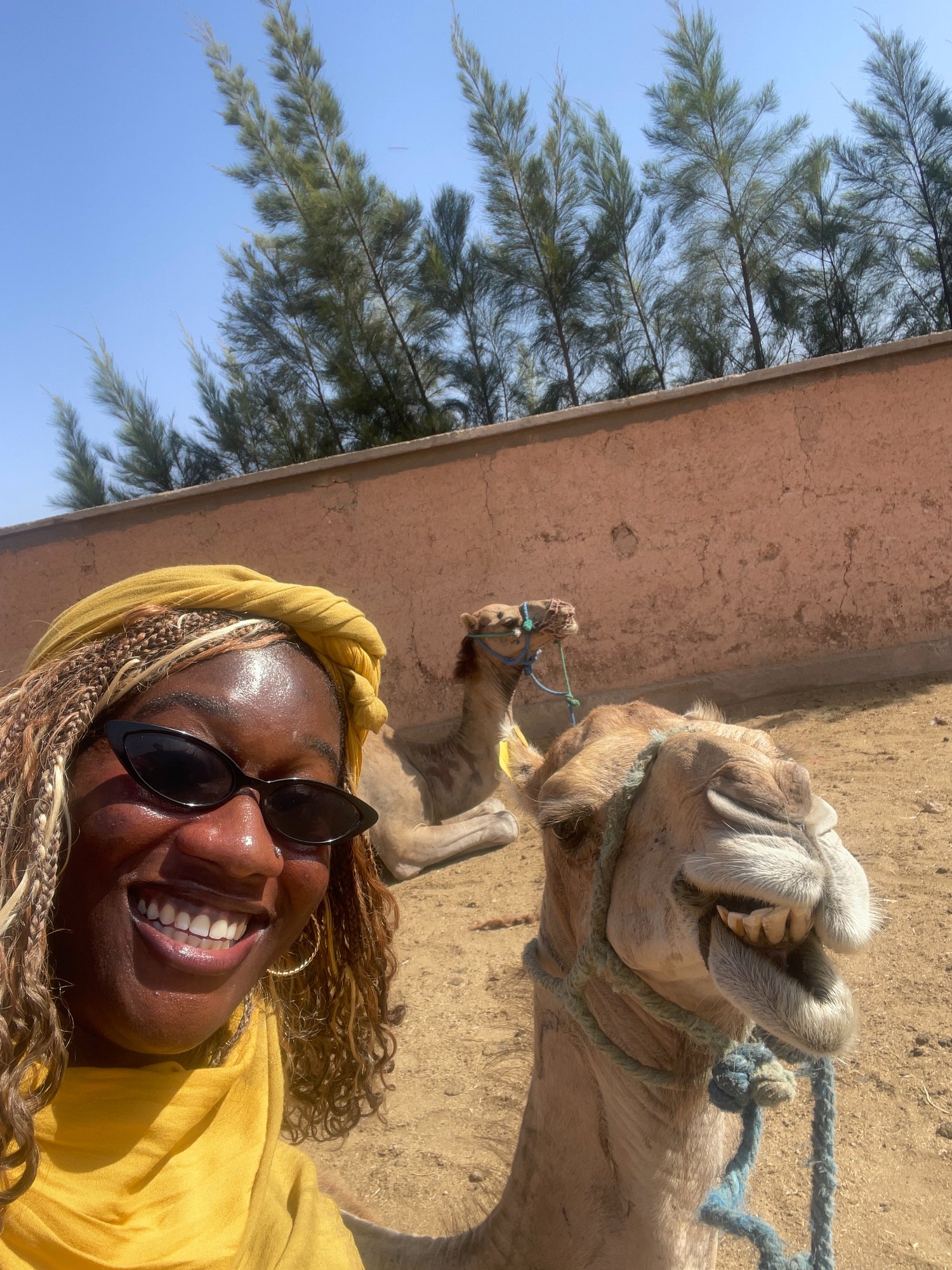 Camel selfie, Marrakech