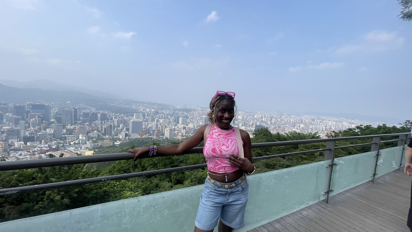 N Seoul Tower city view
