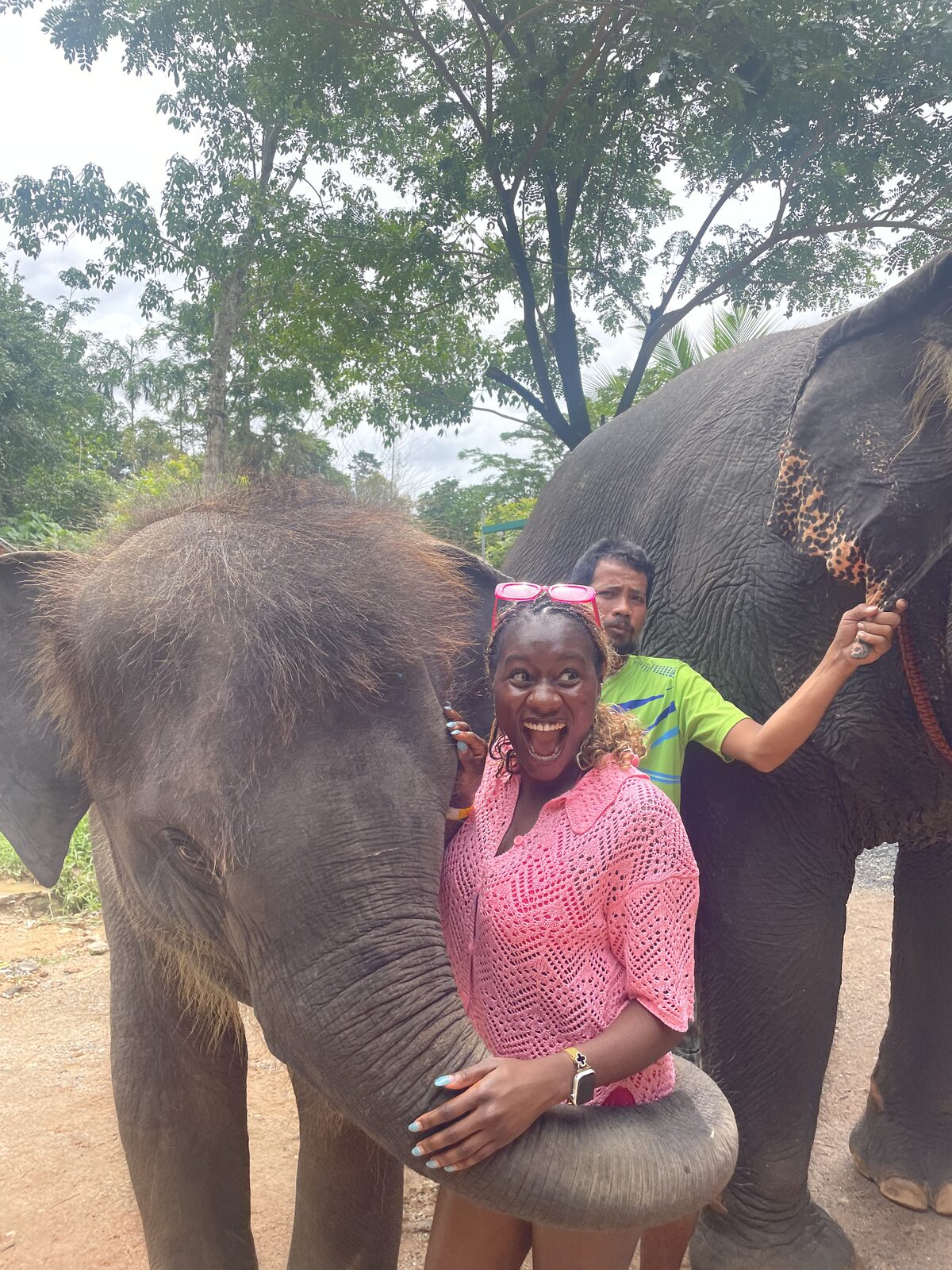 Elephant sanctuary